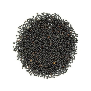 Semillas de Mostaza Negra India de Alta Pureza, Naturales, Enteras, Calidad de Exportación, Suministro a Granel para Procesamiento de Alimentos - Product Image 1