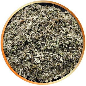Feuilles d'Artemisia Vulgaris (Mugwort) - Fabricant Patil Foods India - Product Image 1