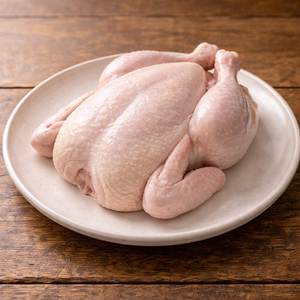 น่องไก่แช่แข็ง ตัดเป็นส่วน ไร้กระดูก ไร้หนัง คุณภาพสูง ปราศจากคาเฟอีนและไขมันทรานส์ อายุการเก็บรักษา 24 เดือน - Product Image 6
