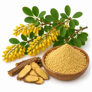 Fournisseur leader d'extraits botaniques, extrait de Berberis Aristata en poudre, ingrédient à base de plantes de haute qualité pour le bien-être et la nutraceutique - Product Image 5