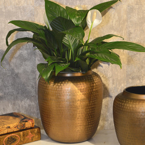 <b>Set</b> of 2 Round <b>Vases</b> Indoor/Outdoor Tableware & Floor Serving Trays with Hammered Texture Brass Finish - Product Image 2