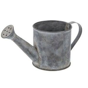 Wholesale Galvanized <b>Metal</b> Watering Can Small Vintage Indoor Plant Waterer Rustic Iron Garden Sprinkling Pot Handheld Container - Product Image 1