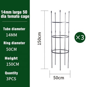 เสาค้ำยันต้นไม้สำหรับมะเขือเทศและถั่ว - Product Image 6
