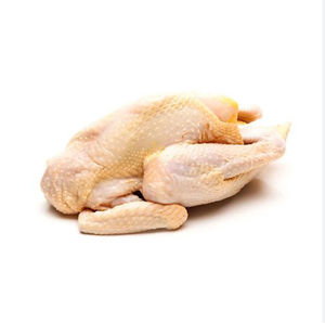 Poitrine de poulet congelée sans os, certifiée Halal, viande de volaille sans peau, traitée hygiéniquement, qualité supérieure, prête à l'exportation - Product Image 2