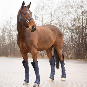 Botas Deportivas de Nailon OEM Más Vendidas para Protección de Patas de Caballo, Productos Ecuestres para Montar a Caballo - Product Image 6