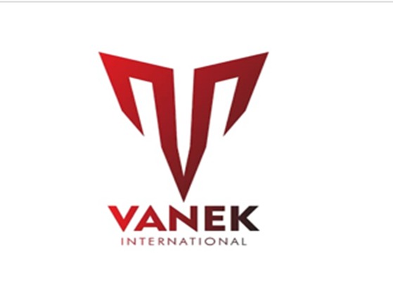 VANEK INTERNATIONAL logo