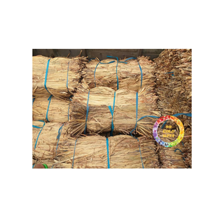 วัสดุผักตบชวาสำหรับการจัดเก็บสินค้าอย่างยั่งยืนสำหรับการถักทอผลิตภัณฑ์ทำด้วยมือและ B2B การสั่งซื้อ - Product Image 2