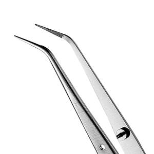 Pince de préparation chirurgicale 2 College Dressing Plier, 1 mm, pointe dentelée, 16 cm, en acier inoxydable chirurgical, instrument dentaire pour la manipulation et la pose de matériaux - Product Image 2