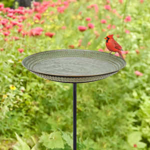 Bain d'oiseaux décoratif en métal pour jardin, patio, cour arrière, résistant aux intempéries, base durable, design attrayant pour les oiseaux, bassin d'eau. - Product Image 1