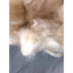 Factory price <b>raw</b> natural <b>cotton</b> fiber wholesale large volume supply - Product Image 4