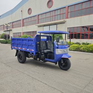 Triciclo de Carga de 3 Ruedas de Alta Calidad, Motor Diésel/Eléctrico, para Transporte de Mercancías Pesadas, Venta al Por Mayor - Product Image 1