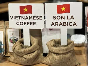 Konnai Grains de café Arabica de torréfaction de ville de qualité A + certifiés ISO (paquets de 250g/500g) Sacs de grains personnalisés à profil neutre pour les entreprises - Product Image 5
