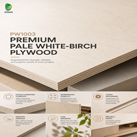 Panneau de contreplaqué stratifié croisé Jinbase 18 mm en placage de bouleau blanc E0 1220x2440 mm pour meubles d'intérieur et armoires