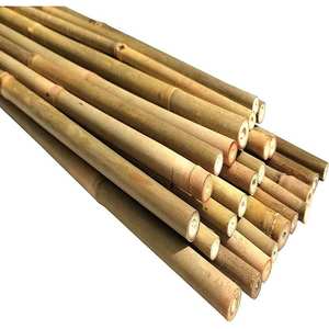 Natural Tonkin Bamboo <b>Stakes</b> Raw Material Agricultural Bamboo Poles and Garden Canes <b>for</b> Climbing Plants - Product Image 2