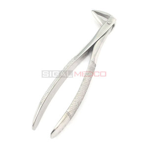 Dental Instrument 74N Manual Extracting Forceps German Stainless Steel Premium Quality CE Certified Tooth Extraction Surgical - Product Image 6