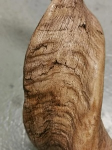 Paires de cornes de chèvre naturelles, finition rustique, écologiques, neuves, de haute qualité pour la décoration et l'artisanat - Product Image 2