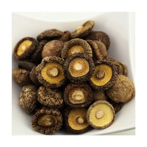 BEST SELLER Vacuum Fried Shiitake Mushroom For Useful Crunchy Beverage Companion And Gourmet Retail Distribution - Product Image 2