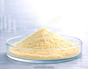 Suministro directo de fábrica HGO, extracto de fruta Sophora japonica Natural puro/extracto de fruta Styphnolobium japonicum Sophoricoside 10% - Product Image 1