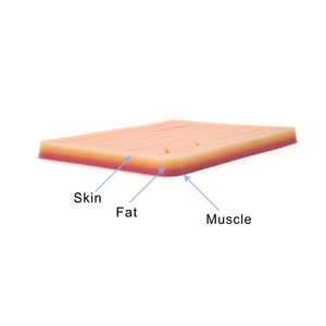 Kit de Práctica de Sutura para Sección Cesárea, Instrumental Quirúrgico para Entrenamiento de Sutura y Uso en Estudios Médicos - Product Image 3