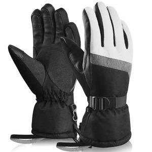 Gants de ski durables de haute qualité pour la saison hivernale, prix de gros compétitif, fabricant pakistanais, fournisseur d'usine de gants de ski - Product Image 1