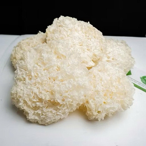 Meilleures ventes : Champignons blancs séchés 100 % naturels (Tremella Fuciformis), champignons de neige entiers crus, idéaux pour les soupes et les desserts - Product Image 2