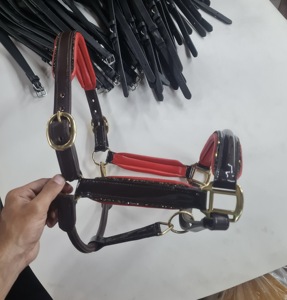Premium Quality Durable Adjustable English Style Horse Riding <b>Halter</b> Genuine Leather Customizable Saddle AL RAHEEM International - Product Image 2