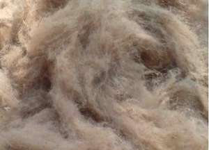 บรรจุภัณฑ์แบบกำหนดเองเกรดดีเป็นมิตรกับสิ่งแวดล้อมส่งออกข้อเสนอที่ถูกที่สุดของการตัดปอกระเจาในขนาดที่แตกต่างกันแคดดี้จากบังคลาเทศ - Product Image 5