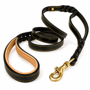 Ergonomic <b>Padded</b> Leather Dog Leash Soft Grip Braided Lace Luxury Fashion Simple Daily <b>Walking</b> Pet Accessories - Product Image 1