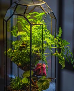 Terrario de Metal y Vidrio Personalizado en Oro Rosa, Moderno Macetero de Vidrio para Plantas de Interior, Suculentas, Plantas Aéreas y Terrarios DIY - Product Image 3