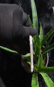 Pendentif Moissanite taille coussin serti de pierres transparentes pour homme, style hip-hop de luxe audacieux pour les soirées - Product Image 5