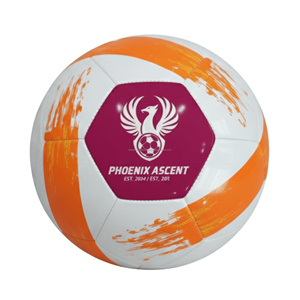 Ballon de football personnalisé avec logo, taille 5, en PU/PVC, pour entraînement et matchs promotionnels, fabricant et fournisseur OEM - Product Image 5