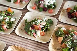 Premium Eco-Friendly <b>Disposable</b> Dinnerware Set Biodegradable Compostable Palm Leaf Square <b>Plates</b> Modern Natural Sustainable - Product Image 2