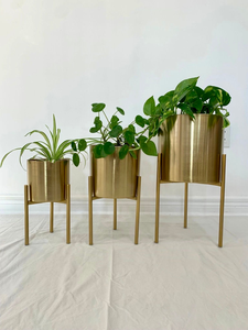 Soporte de Metal Dorado para Macetas, Moderno Soporte para Plantas de Interior, Acabado Dorado Decorativo, Exhibidor de Macetas para Sala de Estar, Dormitorio, Oficina - Product Image 2