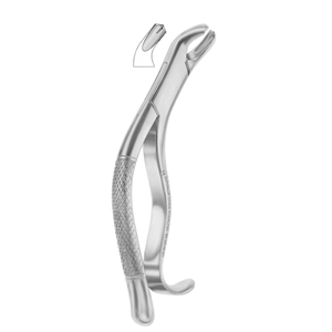 Pinzas de Extracción Modelo Americano |   Acero Inoxidable de Primera Calidad - Product Image 1