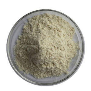 Proteasa Alcalina de Grado Alimenticio con Tecnología Enzimática Premium para Soluciones Modernas de Fabricación y Procesamiento de Alimentos - Product Image 1