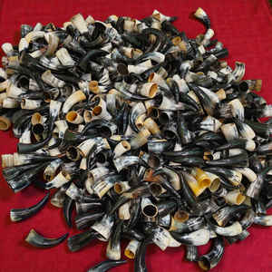 Mini Cuerno Vikingo para Beber, Acabado de Alta Calidad, Cuerno de Buey Blanco y Negro, Pequeño, Hecho a Mano, al Mejor Precio - Product Image 6