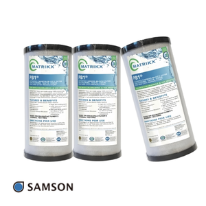 Cartucho de Filtro de Bloque de Carbón para Reducción de COV, Certificado WQA, Económico - Product Image 1
