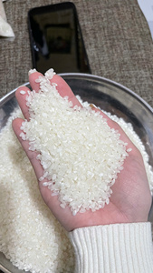 Exportateur en gros de riz japonica Tien Giang du Vietnam, proposant un riz à grains courts de qualité supérieure, excellente qualité de cuisson, durée de conservation de 24 mois - Product Image 4