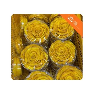 [HOT SELLING] l <b>Dried</b> Soft <b>Mango</b> Rich <b>Mango</b> Taste Snack for School Office and Family Gatherings Vietnam - Product Image 1