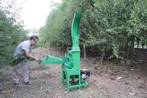 เครื่องตัดหญ้าแบบไฟฟ้าสำหรับงานหนัก ราคาโรงงาน เครื่องทำไซเลจ เครื่องสับฟางข้าวโพด สำหรับแปรรูปอาหารสัตว์ในฟาร์ม - Product Image 4
