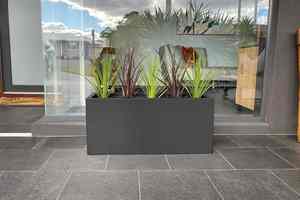Vasi <span class=keywords><strong>da</strong></span> Giardino Moderni in Acciaio Zincato con Sistema di Auto-Irrigazione, Grandi Contenitori per Piante Succulente e <span class=keywords><strong>Bonsai</strong></span> <span class=keywords><strong>da</strong></span> <span class=keywords><strong>Esterno</strong></span> - Product Image 5