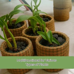 Maceta Redonda de Fibra de Coco de Alta Calidad, 13x10cm, Maceta Natural para Plantas de Interior, Uso en Jardines de Suculentas - Product Image 4