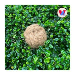 Disponible en gros : Boule à mâcher en fibre de coco du Vietnam, jouet non toxique en coque de noix de coco pour lapins, hamsters et petits animaux - Product Image 1