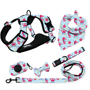 磁気リーシュカラーコットンロープ50フィート格納式ダイヤモンドカラーペットジュエリーxxsドッグハーネス、メタルバックル付き - Product Image 1