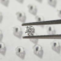 Diamantes Sueltos de Corte Brillante Redondo de 3.1-3.5mm, Cultivados en Laboratorio, Color E, Claridad VVS1 por Quilate, Excelente Precio al por Mayor