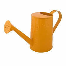 Arrosoir en fer avec revêtement en poudre pour plantes, avec long bec, durable, résistant à la rouille, arrosoir de jardin - Product Image 2