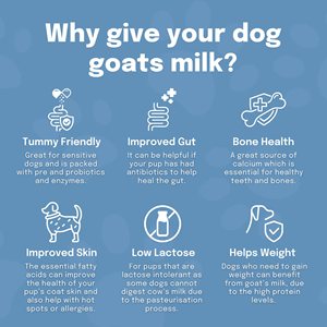 ผลิตภัณฑ์นมผงสำหรับสุขภาพสัตว์เลี้ยง ลูกสุนัข ลูกแมว ลูกแพะ อาหารเสริมโภชนาการ นมผงแคลเซียมสูงสำหรับสุนัขและแมว ขายส่ง - Product Image 5