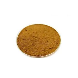 Poudre d'extrait de thé vert 96% antioxydants naturels purs pour un usage quotidien - Product Image 6