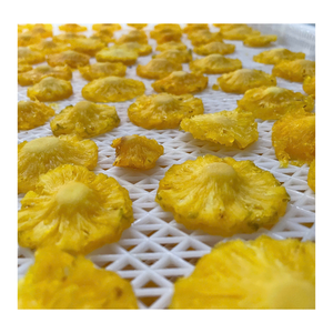 Export Quality Dried Pineapple Snack with Natural Tropical Sweetness for Global Wholesale Buyers - Product Image 1