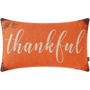 TRENDIN Fodera per cuscino decorativa autunnale 20x12 pollici stile rustico, con scritta arancione 'Thankful', per decorazioni autunnali e accoglienti per la casa - Product Image 1